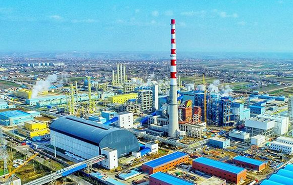 ��úμ���Ҷ���30�����ú���Ҷ�����Ŀ