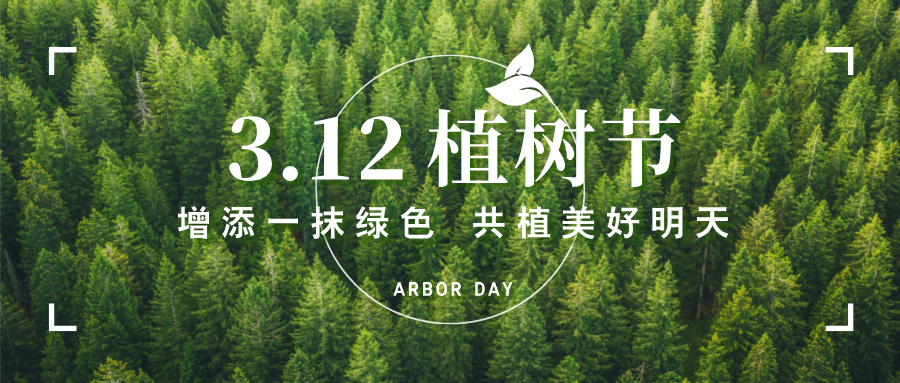 3.12ֲ����|NSD3CTPS�ն��ۺϵ�����������װ��Ϊ���� &ldquo;ֲ&rdquo; ����ɫ�»�����